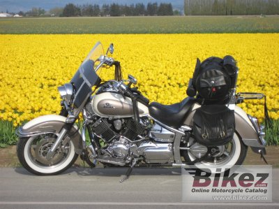 2003 Yamaha XVS 1100 A Drag Star Classic photo